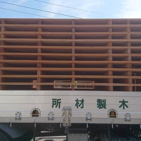 【南洋材】パレット